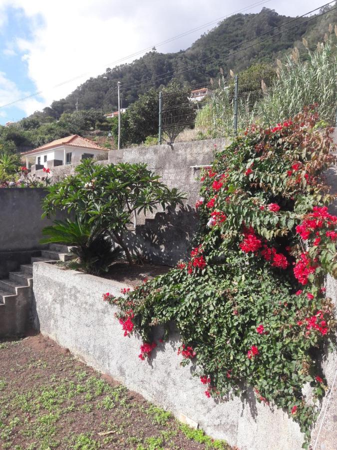 Panoramic Ocean View House Vila Sao Roque Do Faial Exterior foto